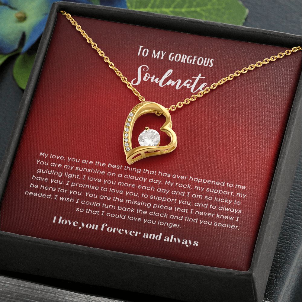To my soulmate necklace forever